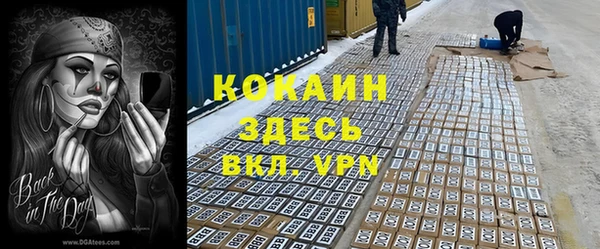 apvp Богородицк