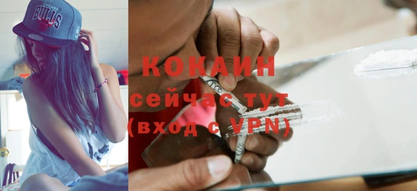 МДПВ Богородск