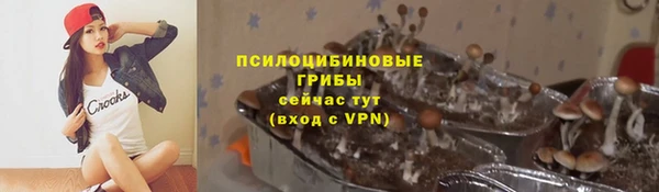 a pvp Богданович