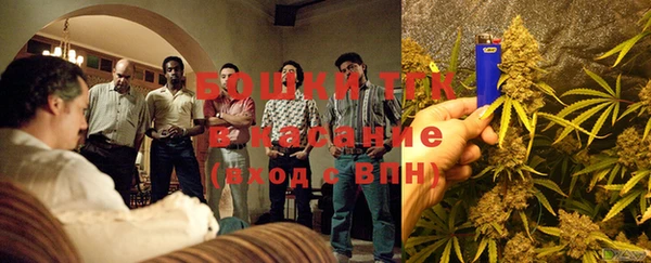 apvp Богородицк