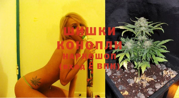 a pvp Богданович