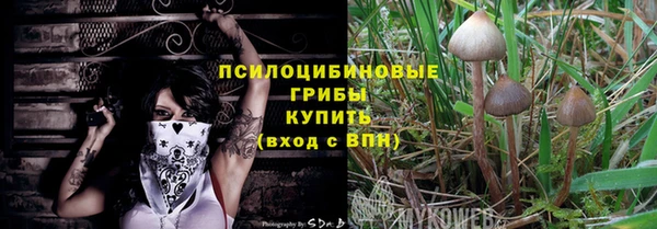 a pvp Богданович