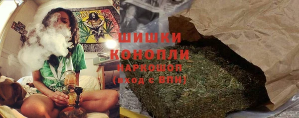 МДПВ Богородск