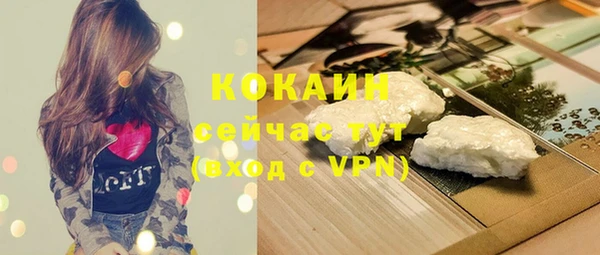 apvp Богородицк